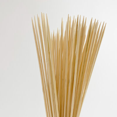 Bastões de bambu para plantas de flores Bastões de bambu para plantas
