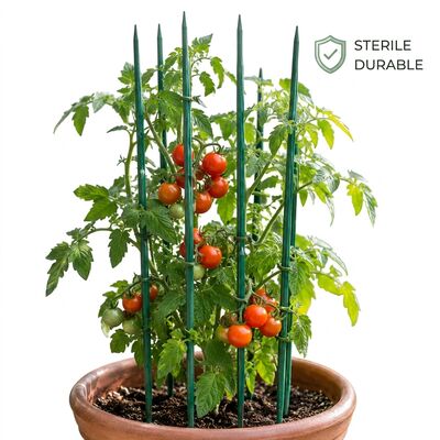 Estacas de flores de bambu natural biodegradáveis, suporte para plantas de jardim, tamanhos personalizados, cores para viveiros