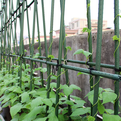 Estacas de Metal Revestidas de Plástico Estacas Verdes de Jardim para Suporte de Plantas Trepadeiras Paisagismo Cercas